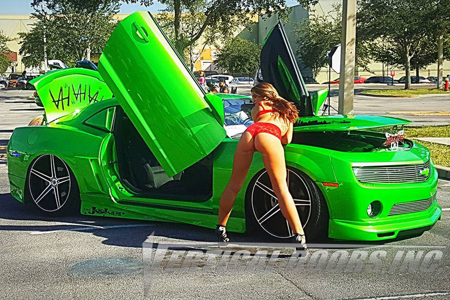 Chevrolet Camaro 2010-2015 Vertical Doors