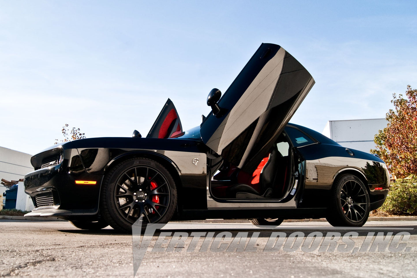 Dodge Challenger 2009-2022 Vertical Doors