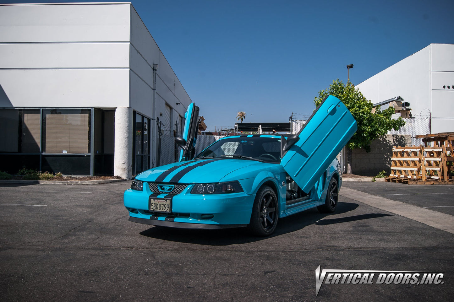 Ford Mustang 1994-1998 Vertical Doors