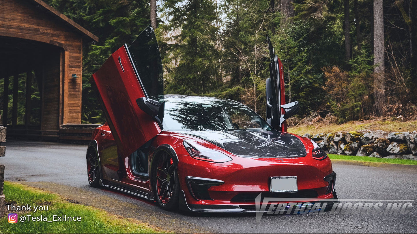 Tesla Model 3 2017-2020 Vertical Doors