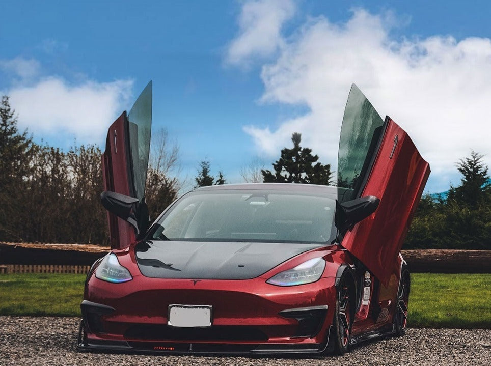 Tesla Model 3 2017-2020 Vertical Doors