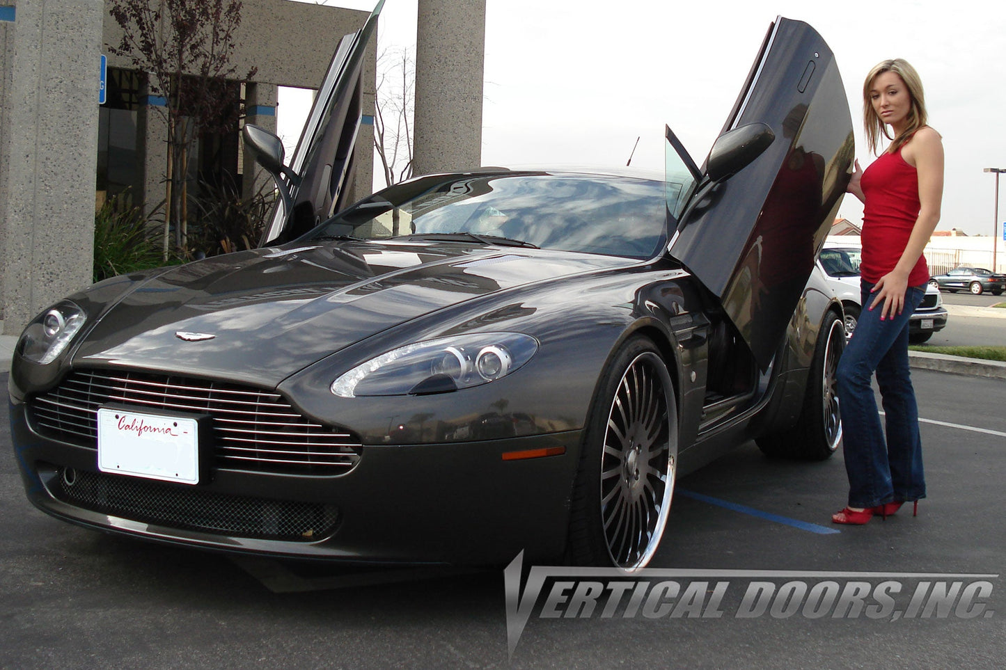 Aston Martin Vantage 06-18 Vertical Doors Kit