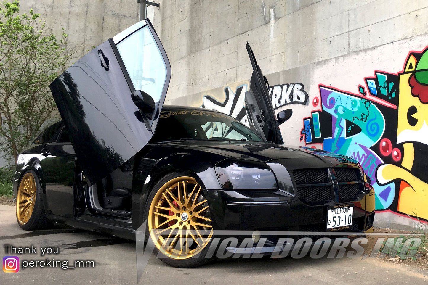 Dodge Magnum 2004-2008 Vertical Doors