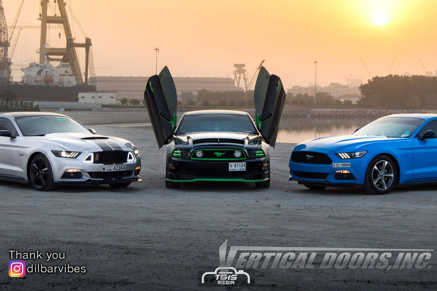 Ford Mustang 2011-2014 Vertical Doors Kit