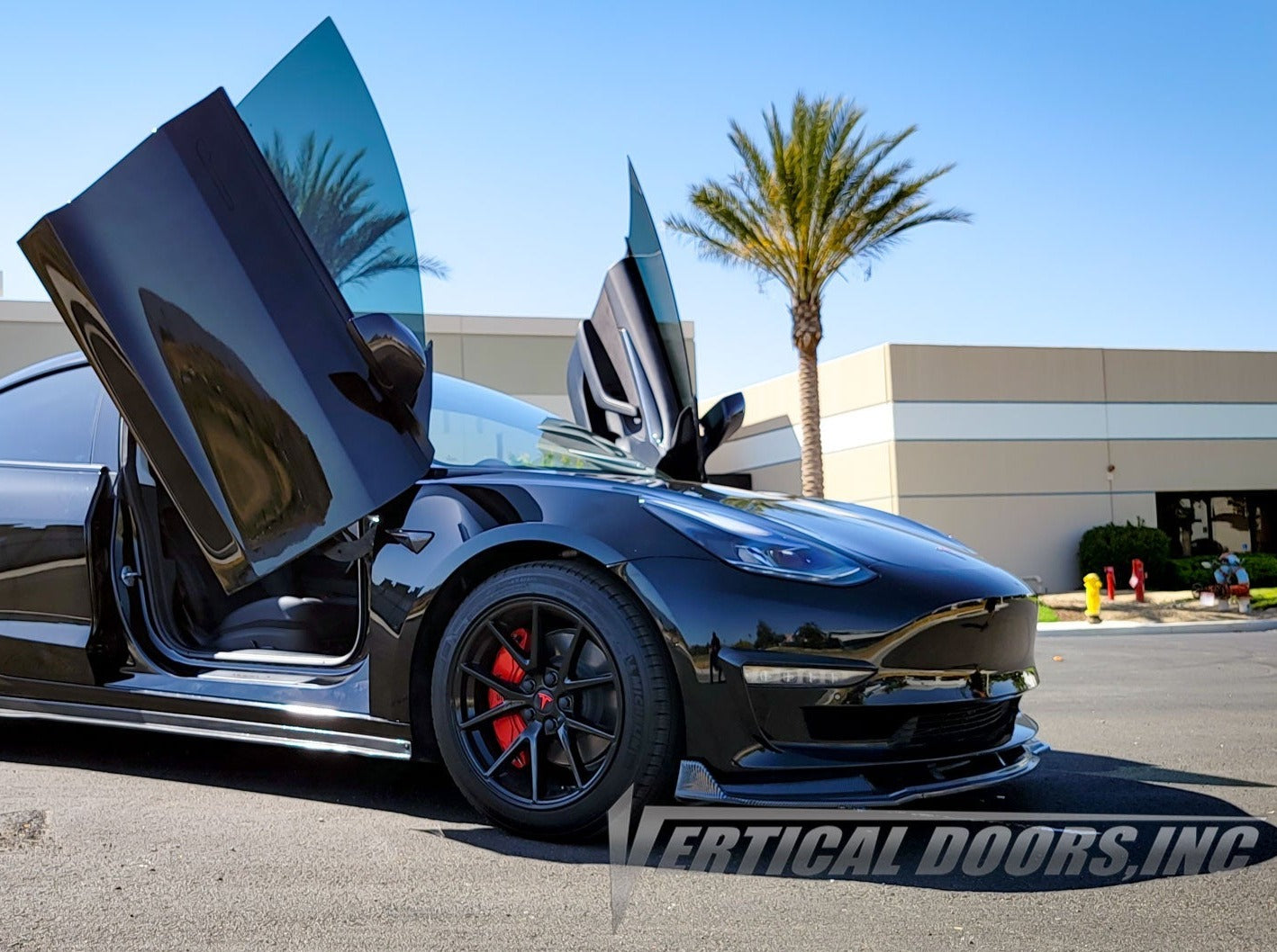 Tesla Model 3 2017-2020 Vertical Doors
